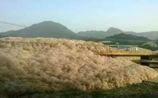 水处理消泡方案