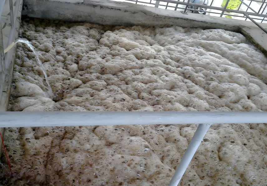 进口消泡剂蓝星SILCOLAPSE-C585替代方案