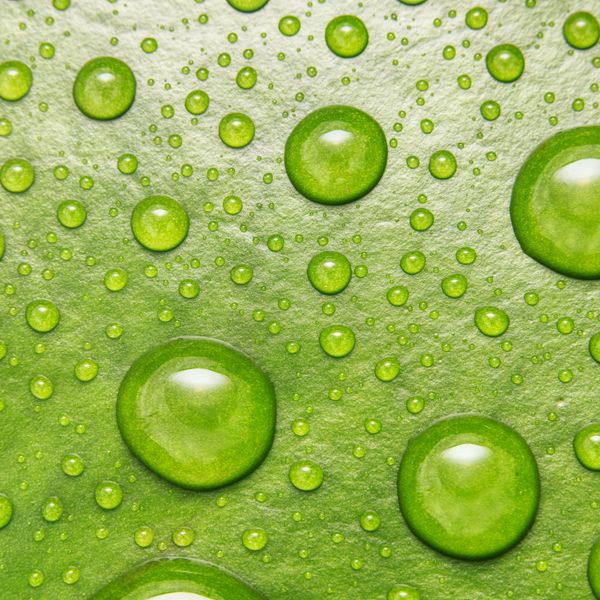 油性无氟防水剂